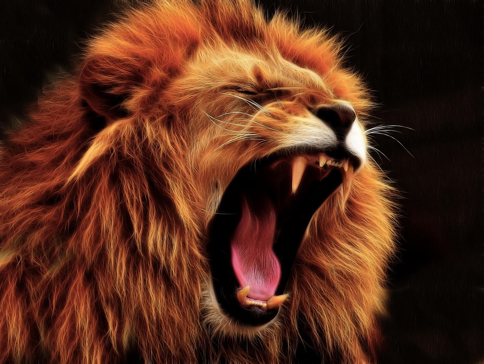 lion-animal-roar-free-photo-on-pixabay-pixabay