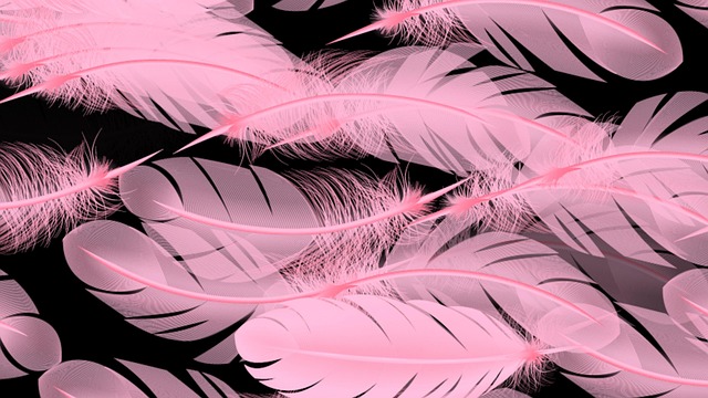 Download free HD stock image of Feathers Pink Free feathers pink pattern illustration