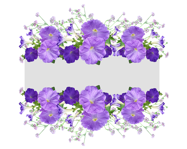Free place card divider border illustration
