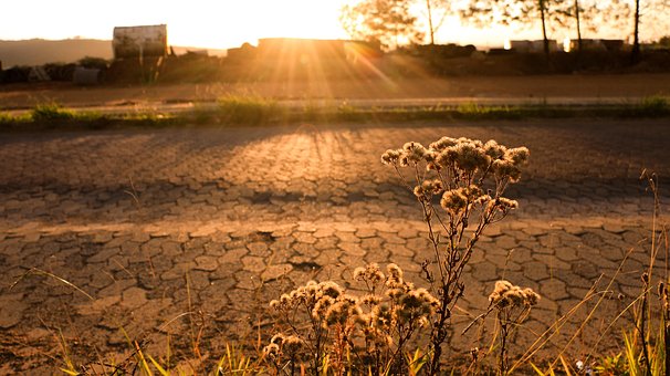 Free Sidewalk Sunset photo and picture