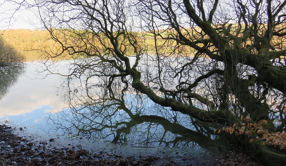 Silhouette Water Reflection - Free photo on Pixabay - Pixabay