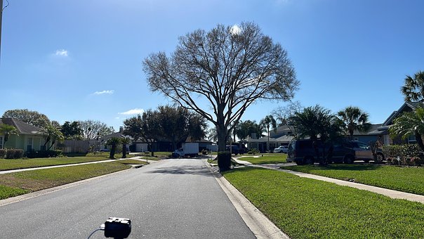 Free Florida District photo and picture