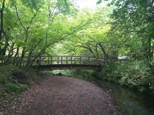 Free Japan Yufuin photo and picture