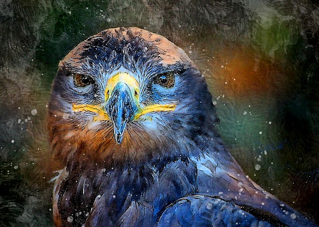 Free bird falcon head illustration