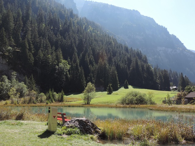 Free Mosquito See Kandersteg photo and picture