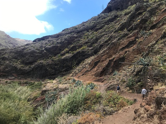 España, Caminata, Naturaleza, Tenerife
