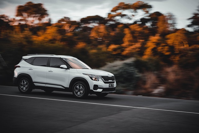 Free Car Road photo and picture