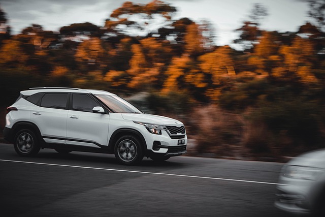 Free Car Driving photo and picture