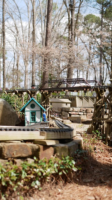 Free Small Train Outdoors photo and picture