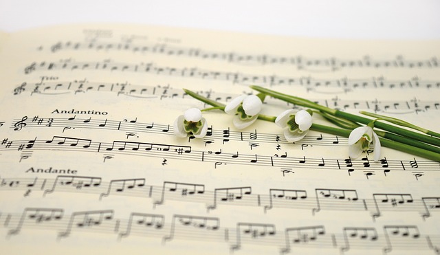  De 10 000 Photos Et Images De Notes De Musique Pixabay