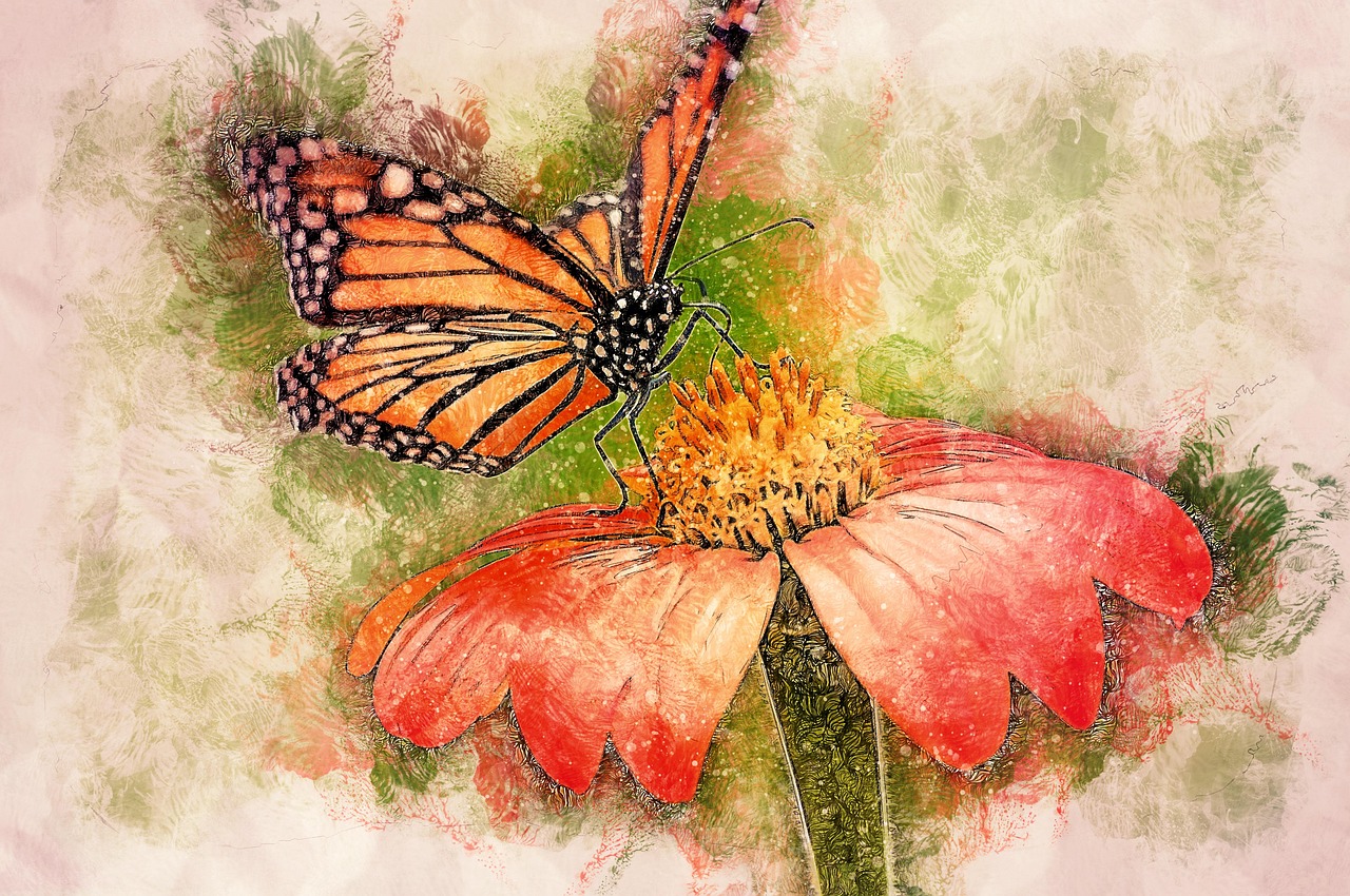 Free butterfly pollination flower illustration
