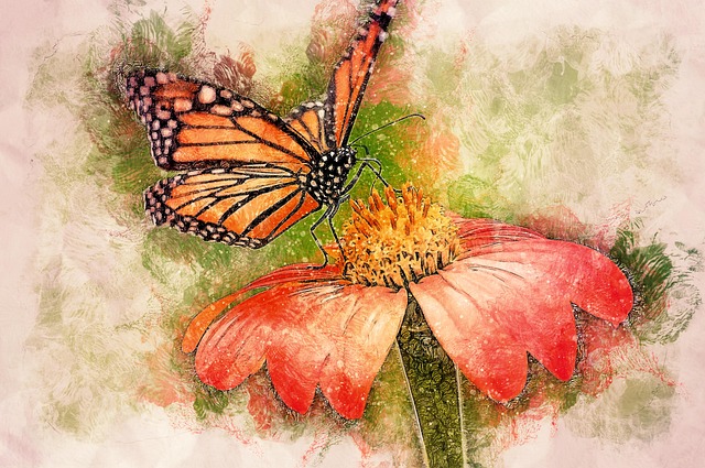 Free butterfly pollination flower illustration