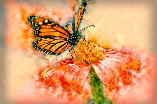 Free butterfly floral background pollination illustration