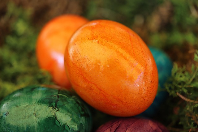 orange eggs, painted eggs, easter eggs, easter festival, egg hunt, easter, easter egg hunt