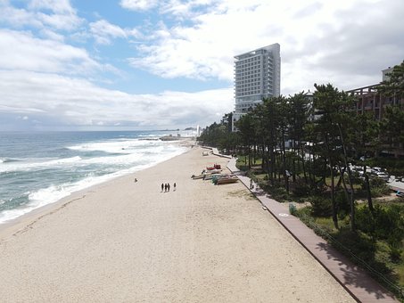 Free Shore Ocean photo and picture