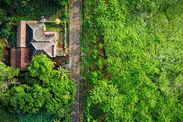 Free Countryside Landscape photo and picture