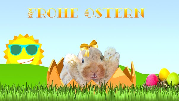 Free Easter Easter Bunny photo and picture