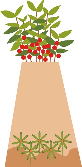 Free Plant Leaves illustration and picture