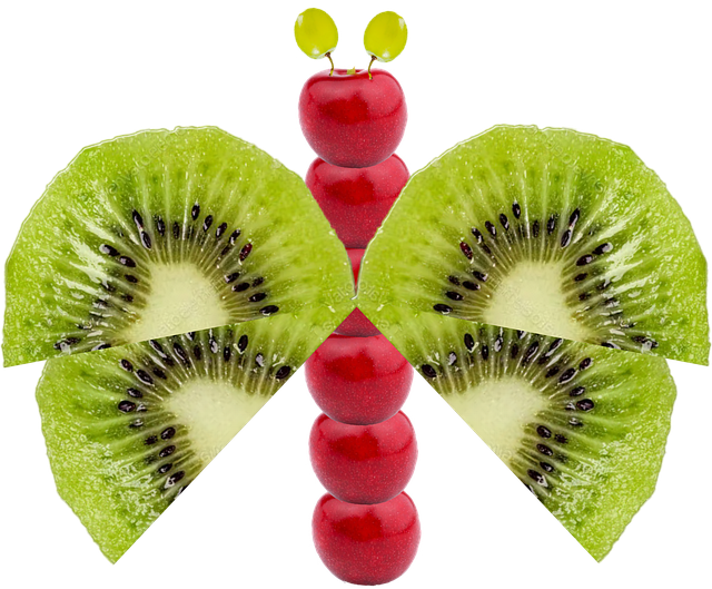 Free fruits butterfly art illustration
