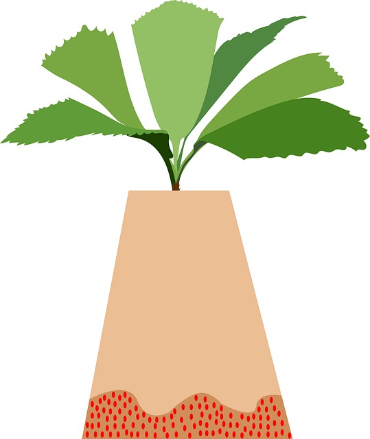 Free Plant Leaves illustration and picture