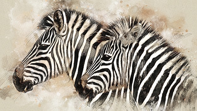 Free zebras animals equines illustration
