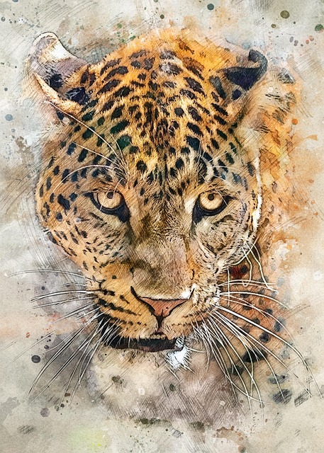 Free jaguar wildcat feline illustration