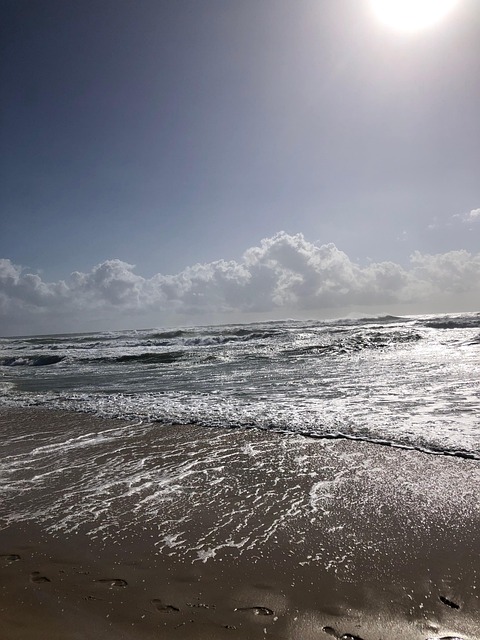 Free Ocean Beach photo and picture