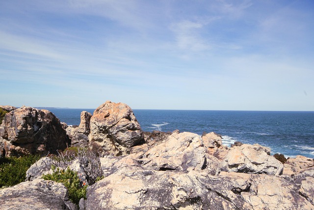 Free Sea Beach photo and picture