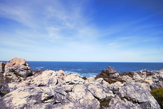 Free Sea Ocean photo and picture