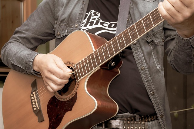 Free Guitar Instrument photo and picture