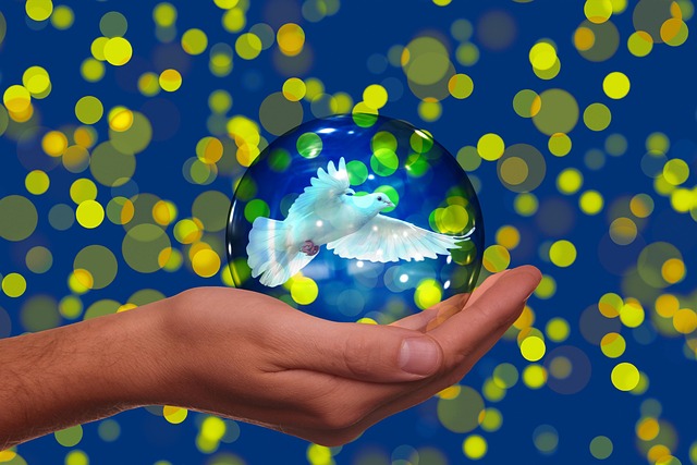 Free dove dove of peace bokeh illustration