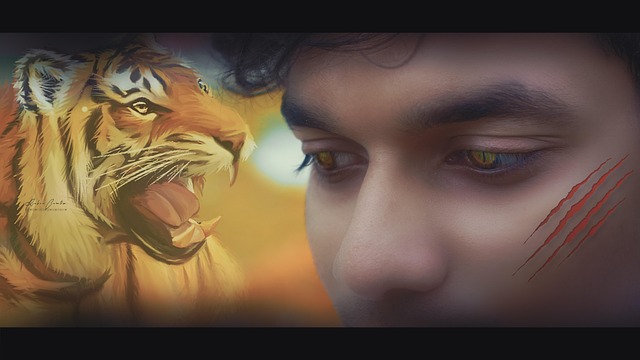 Free Ark Rahim Tiger Pose photo and picture