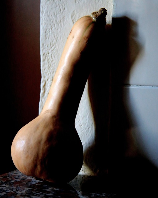 Free Zucca Ombra photo and picture