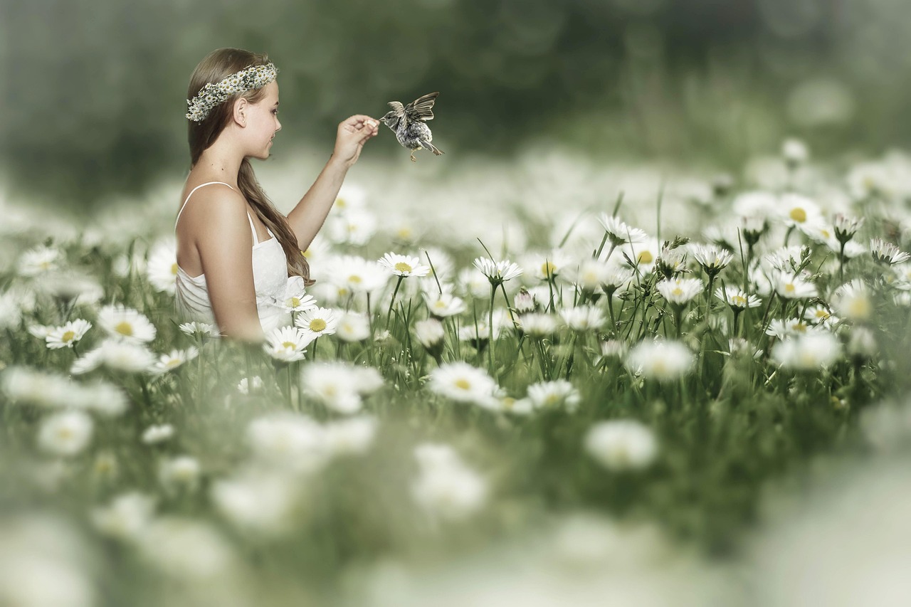 https://cdn.pixabay.com/photo/2022/04/04/11/47/meadow-7110986_1280.jpg
