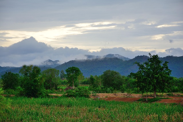 Free Thailand Countryside photo and picture