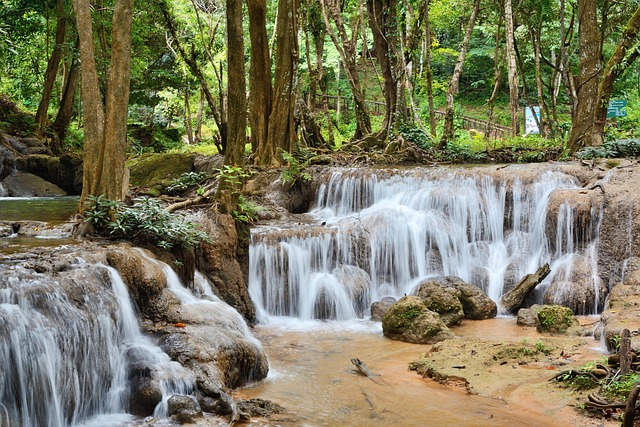 Free Waterfall Forest photo and picture