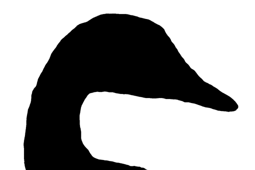 Ganso, Pájaro, Silueta, Animal, Separar
