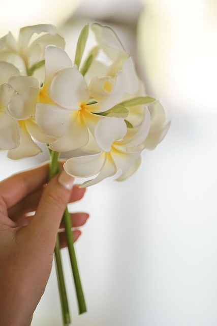 Plumeria, Flores, Decoração, Mão
