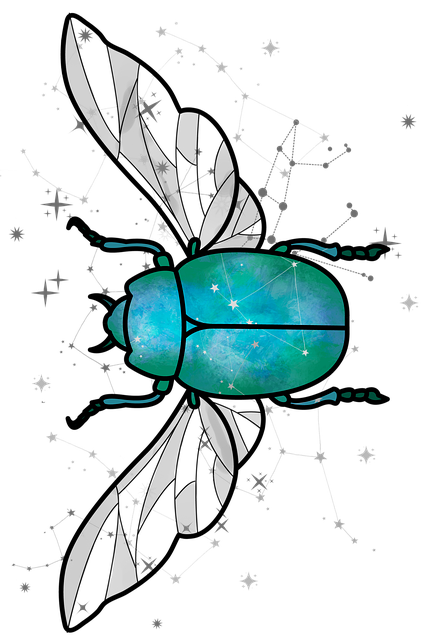 Bille, Insekt, Natur, Bug, Dyr, Ikon