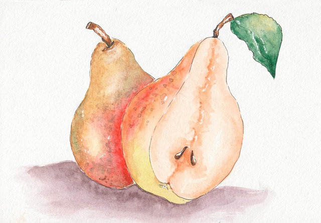Free fruits pears watercolor painting illustration
