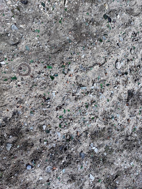 Free Land Earth photo and picture