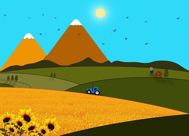 Free sunflowers nature fields illustration