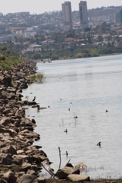 Lago, Naturaleza, Ciudad, Edificios