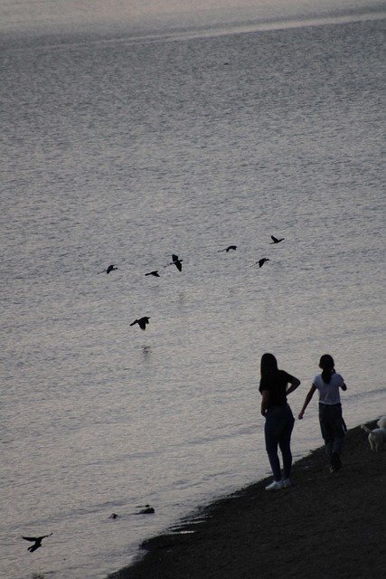 Paisaje, Naturaleza, Vuelo, Lago, Mexio
