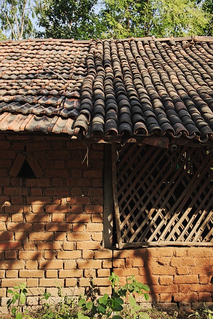 Free Ancient Architecture photo and picture