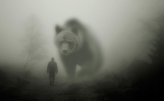 Tier, Natur, Bär, Fiktion, Mensch, Nebel