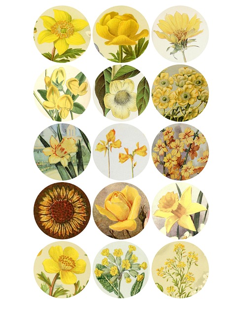 Digitale Collageark, Collage Ark