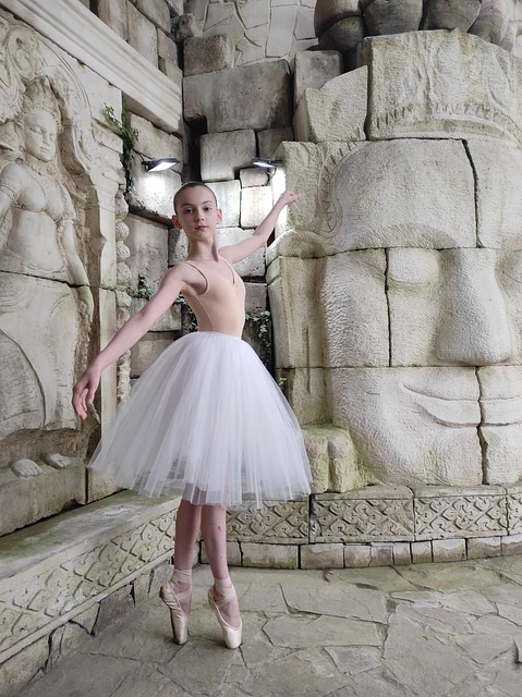 Free Pointe Shoes Dancer photo and picture