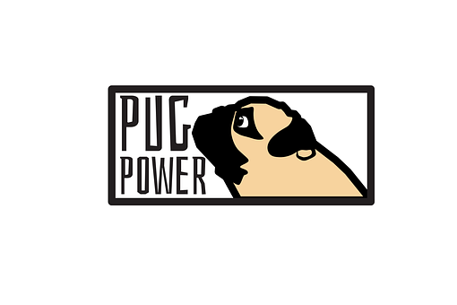 Pug, Cachorro, Filhote De Cachorro