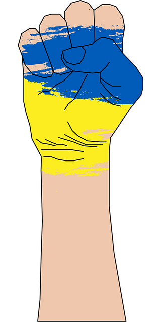 Free Ukraine Flag vector and picture